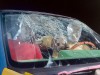 caroto-tech-car-glass-7_resize