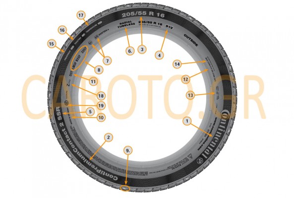 caroto_sidewall-tire-elastiko caroto_sidewall-tire-elastiko