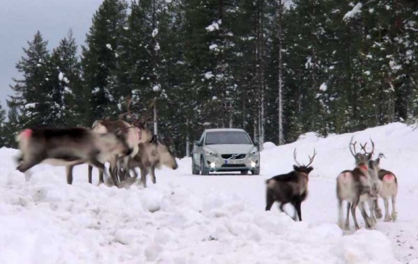 volvo-c30-electric-in-artic-winter