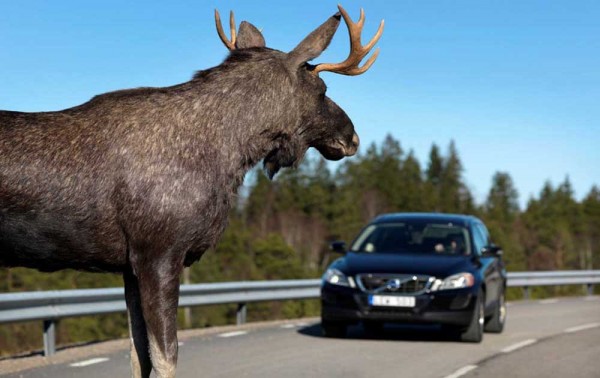 volvo-future-safety-61