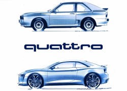 Audi-quattro_Concept_2010_1000 (1)