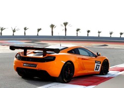 McLaren-12C_GT_Sprint_2014_1000a (1)