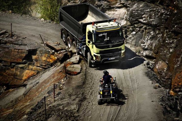 Hamster drives a track (1)