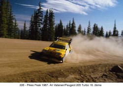 peugeot-205-T16-paris-dakar (3)