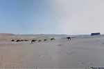 Google Gives us a Camel View of Abu Dhabi Desert (2)
