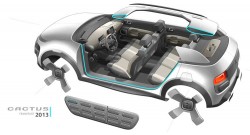 Citroen-Cactus_Concept_2013_1000_345643 (1)