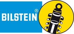 BILSTEIN MDS Black Falcon (2)