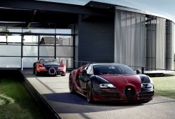 Bugatti-Veyron-La-Finale (11)