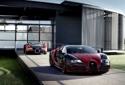 Bugatti-Veyron-La-Finale (11)