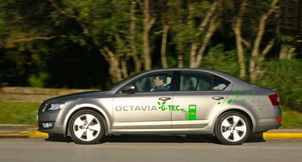 Skoda Octavia G-TEC caroto test drive 2015 (2)