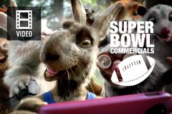 superbowl-commercials-2015 (4)