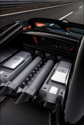 Bugatti-Veyron_Grand_Sport_Vitesse_WRC_2013_1000 (11)