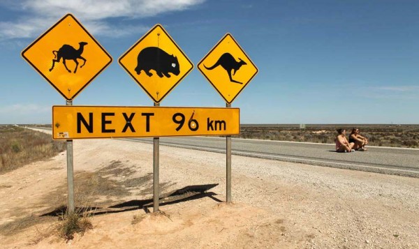 eyre highway 145 km (5)
