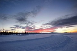 Continental TechnikForum 2016 (36)