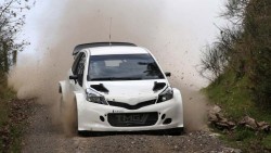 toy-wrc-makinen-1625