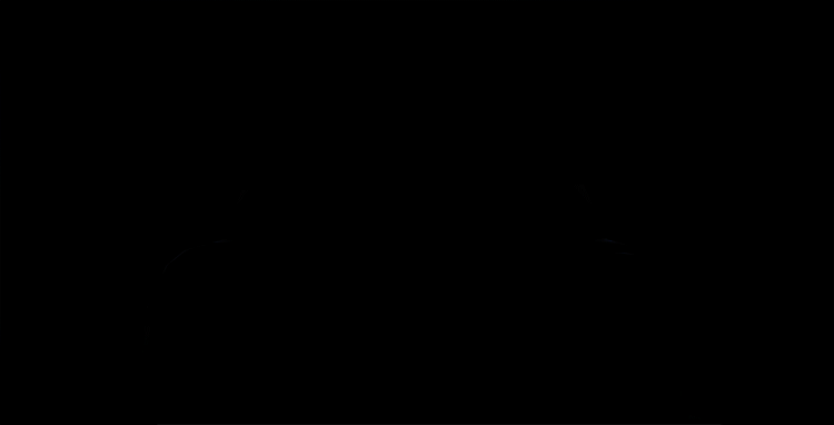 2017NYIASNissanTeaser