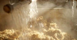 FORD JOSE CUERVO TEAM UP TO MAKE CAR PARTS FROM AGAVE (1) copy