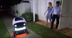 Domino Autonomous Pizza Delivery Vehicle  (1)