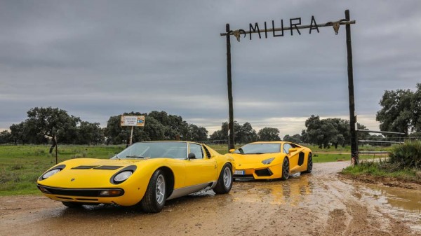 Lamborghini Back To Miura Family Farm (6)