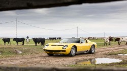 Lamborghini Back To Miura Family Farm (8)