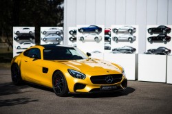 Design Essentials "Sensual Purity"