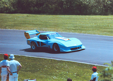 1977-Corvette-IMSA-81