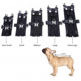 Best Seat Belt for Dogs Comparison Rocketeer Pack (1)