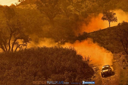 rally-portugal-wrc-2013-6