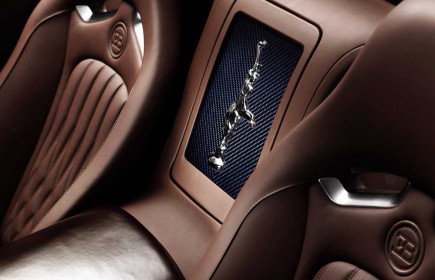 bugatti-veyron-ettore-bugatti-special-edition-11