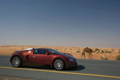 bugatti-veyron----red_7.jpg
