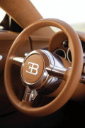 bugatti-veyron---details_1.jpg