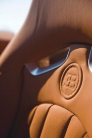 bugatti-veyron---details_5.jpg