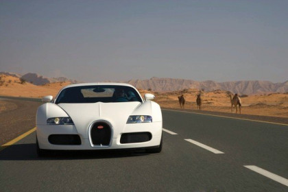 bugatti-veyron---white_13.jpg
