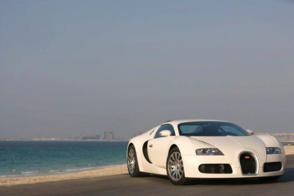 bugatti-veyron---white_18.jpg