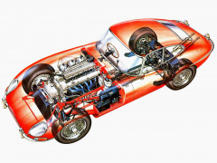 jaguar_e_type_fixed_head_coupe_uk_spec_series_i_1961_cars_cutaway