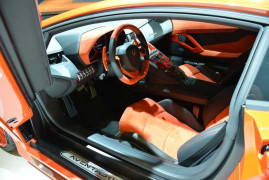 hamman-in-frankfurt-1