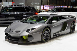 Hamann-Geneva-2014-2