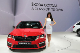 geneva atmosphere 2017 (47)