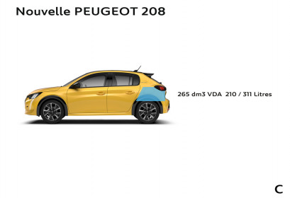 PEUGEOT-208-2019 (12)