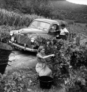 1952 - Renault COLORALE