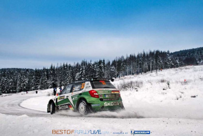 rally-sweden-2013-6