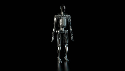 Tesla Humanoid Robot Prototype AI Day 2022 (2)