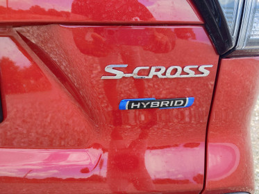 Suzuki-S-Cross-Mild-Hybrid-vs-Strong-Hybrid-caroto-test-2023-25
